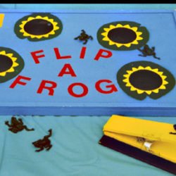 Flip A Frog Hire-0