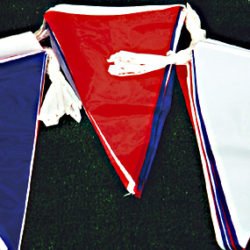 10 Metre Standard Bunting Red/White/Blue-0