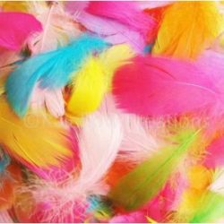 Easter Feathers-0