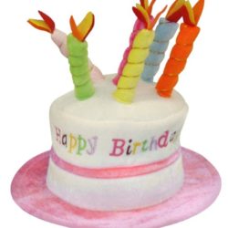 Pink Birthday Cake hat -0