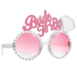 Hen Party Bride to be Funshades-0